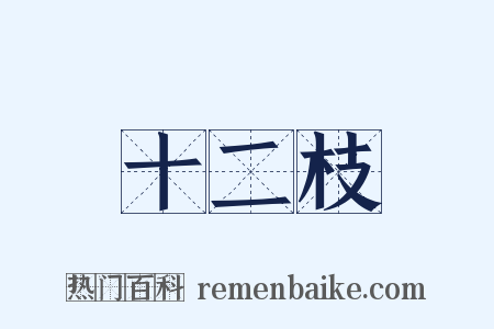 十二枝是什么意思的图片